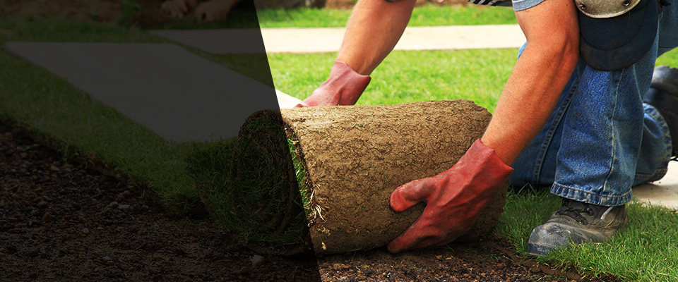 Sanborn Landscapers